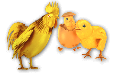 SA Gaming6666 Golden Chicken